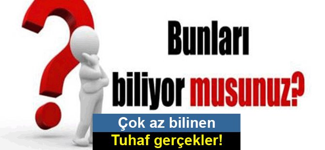 Bunları Biliyormuydunuz?