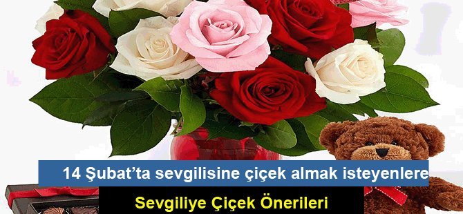 Sevgiliye Çiçek Önerileri