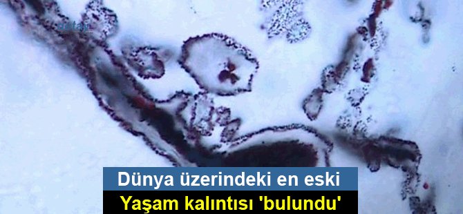 Dünya üzerindeki en eski yaşam kalıntısı 'bulundu