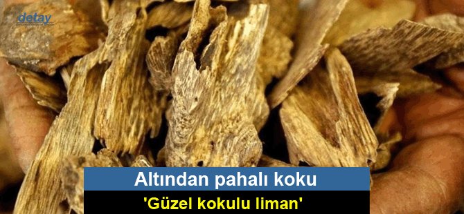 Altından pahalı koku