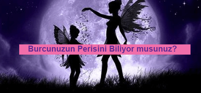 Burcunuzun Perisini Biliyor musunuz?