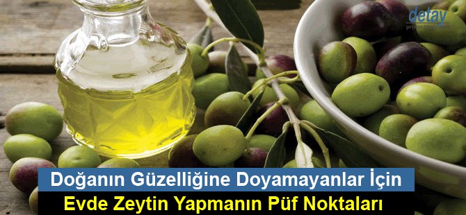 Doğanın Güzelliğine Doyamayanlar İçin Evde Zeytin Yapmanın Püf Noktaları