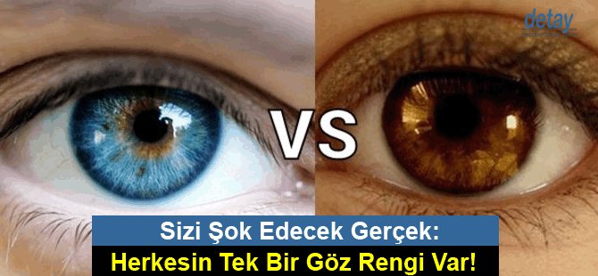 Sizi Şok Edecek Gerçek: Herkesin Ama Herkesin Tek Bir Göz Rengi Var!