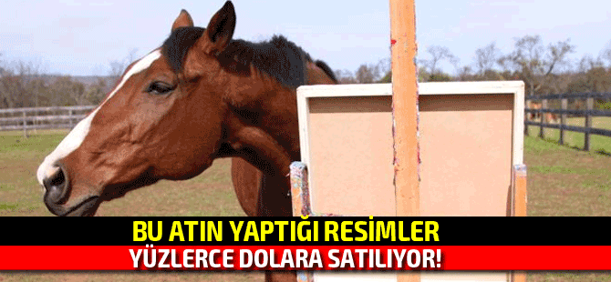 Resimleri yüzlerce Dolara satılan at: Metro