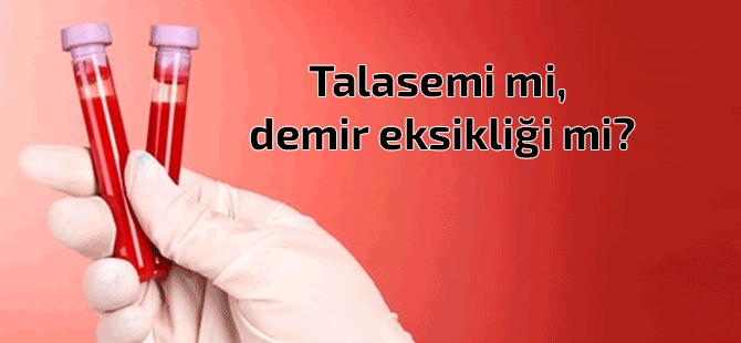 Talasemi hakında en çok merak edilen 7 soru