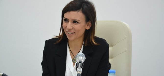 Dilekçe ve Ombudsman Komitesi toplandı