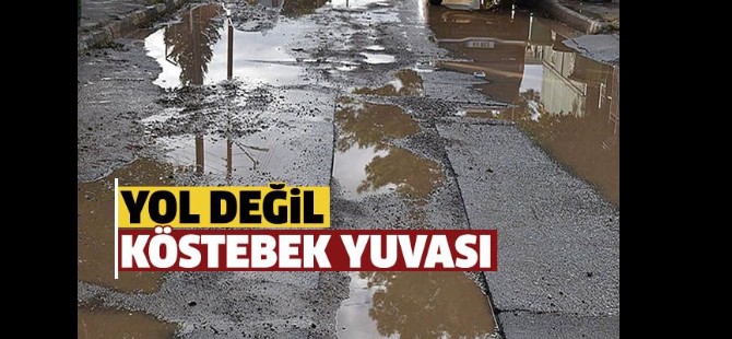 Lefkoşa'nın yolları yol değil köstebek yuvası