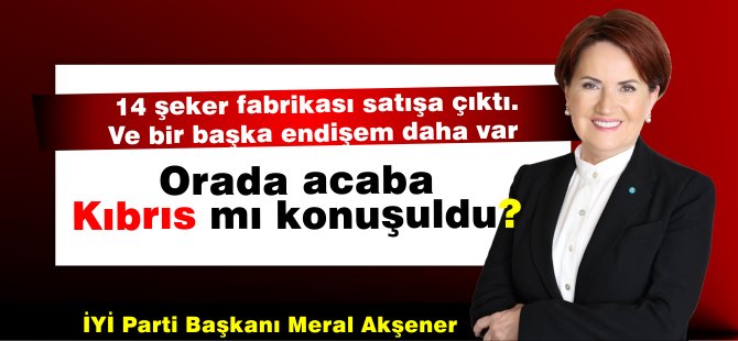 "Amerika ile konuşuldu şeker fabrikaları satışa çıktı, peki ya Kıbrıs?"