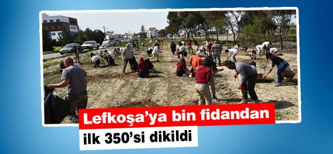 Lefkoşa’ya bin fidandan ilk 350’si dikildi