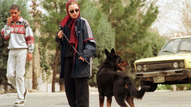 İran'ın başkenti Tahran'da köpek gezdirmek yasaklandı