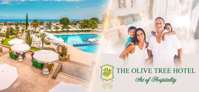 The Olive Tree Advert