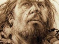 Neandertallerle aramızdaki fark, kutup ayısıyla boz ayıdan daha az