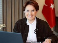 Meral Akşener, İYİ Parti’nin projesi Artagan’ı açıkladı