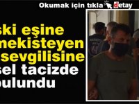 Zorla öpüp okşamak suretiyle cinsel tacizde bulunmuştu