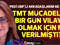 Doğuş Derya:TMT mücadelesi bir gün vilayet olmak için mi verilmişti?