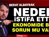 Berat Albayrak neden istifa etti?