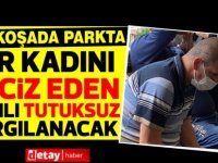 Parkta bir kadını taciz eden zanlı tutuksuz yargılanacak