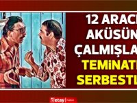 12 adet akü çalan çete,teminatla serbest