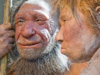 Neandertallerin çekici kolayca kavrayabileceği ama kalem tutmakta zorlanacağı ortaya çıktı