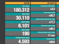 Türkiye’de 190 can kaybı, 30 bin 110 yeni vaka