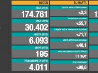 Son 24 saat: 30 bin 402 vaka, 195 can kaybı