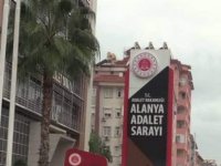 Avokado hırsızlığına tutuklama: 40 bin adet çalmış