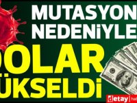 ‘Mutasyon’ endişeleri  Dolar/TL'yi arttırdı