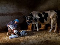 5. Geleneksel Aksa Fotofest Fotoğraf Yarışması’nda Ödüller Sahiplerini Buldu