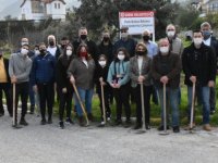 Girne Belediyesi’nde Ağaçlandırma çalışmaları devam ediyor