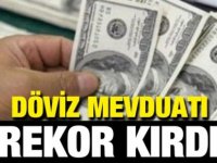 Türkiye'de Döviz mevduatı rekor kırdı