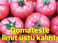 Domateste limit üstü kalıntı