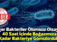 Eğer Bakteriler Ölümsüz Olsaydı, 40 Saat İçinde Boğazımıza Kadar Bakteriye Gömülürdük!