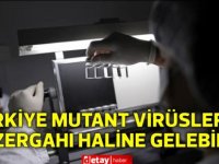 Profesör Ceyhan: Türkiye mutant virüslerin güzergahı haline gelebilir