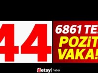 35’i yerel 44 pozitif vaka