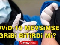 Covid-19, mevsimsel gribi bitirdi mi?