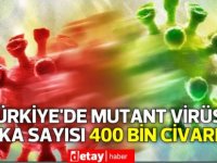 Prof. Ceyhan: Türkiye’de mutant virüslü vaka sayısı 400 bin civarında