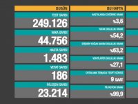 Türkiye'de Koronavirüs | 186 kişi daha hayatını kaybetti, vaka sayısı 45 bine yaklaştı!