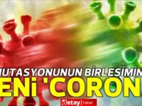 18 mutasyonunun birleşiminden yeni ‘corona’