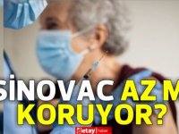 Uzmana soruldu: Sinovac az mı koruyor?