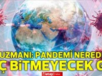 DSÖ uzmanı: Pandemi neredeyse hiç bitmeyecek gibi