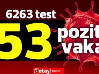 6263 test yapıldı, 46'sı yerel 53 pozitif vaka