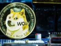 Şaka için üretilmişti: Dogecoin 52 milyar doları aştı