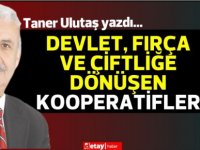 Taner Ulutaş yazdı...Devlet, Fırça ve Çiftliğe dönüşen Kooperatifler