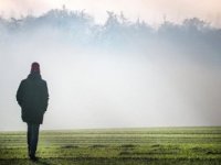 Bilim insanları, yaşanılan çevrenin insan beynini etkileyebileceğini ortaya koydu