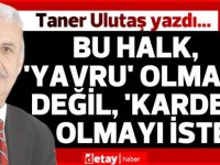 Taner Ulutaş yazdı...Bu halk, ‘Yavru’ olmayı değil, ‘Kardeş’ olmayı ister.