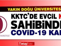 YDÜ, KKTC’de ilk kez, sahibinden evcil bir kediye SARS-CoV-2’nin İngiliz varyantının bulaştığını saptadı.