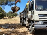 Girne Belediyesi Kent Genelindeki Temizlik Çalışmalarını Sürdürüyor