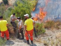 Orman Dairesi Ekibi Alanya’daki Yangına Müdahale Ediyor