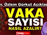 Dr. Gürkut: Vaka sayısı nasıl azalır? Ne yapmalı?