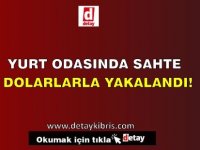 Yurt Odasında Sahte Dolarlarla Yakalandı!